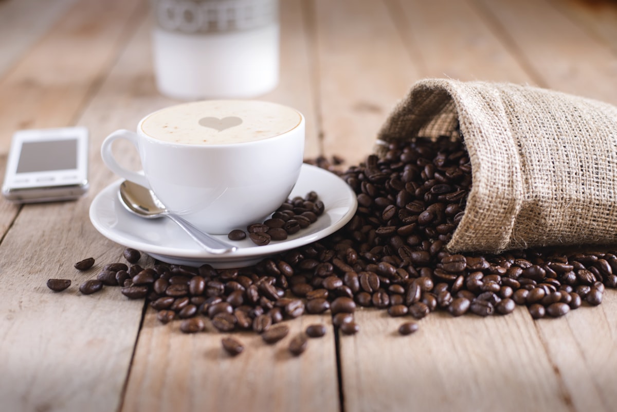 Plantações de café na Serra da Mantiqueira
